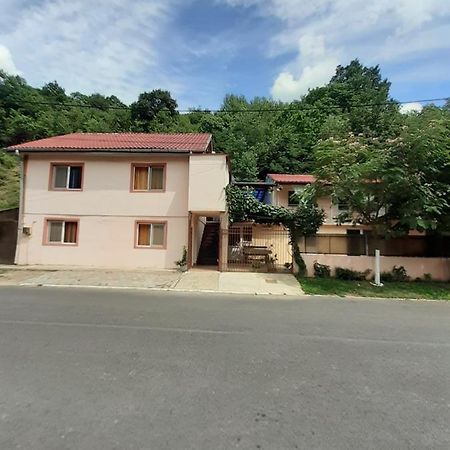 Casa Iza Διαμέρισμα Băile Herculane Εξωτερικό φωτογραφία