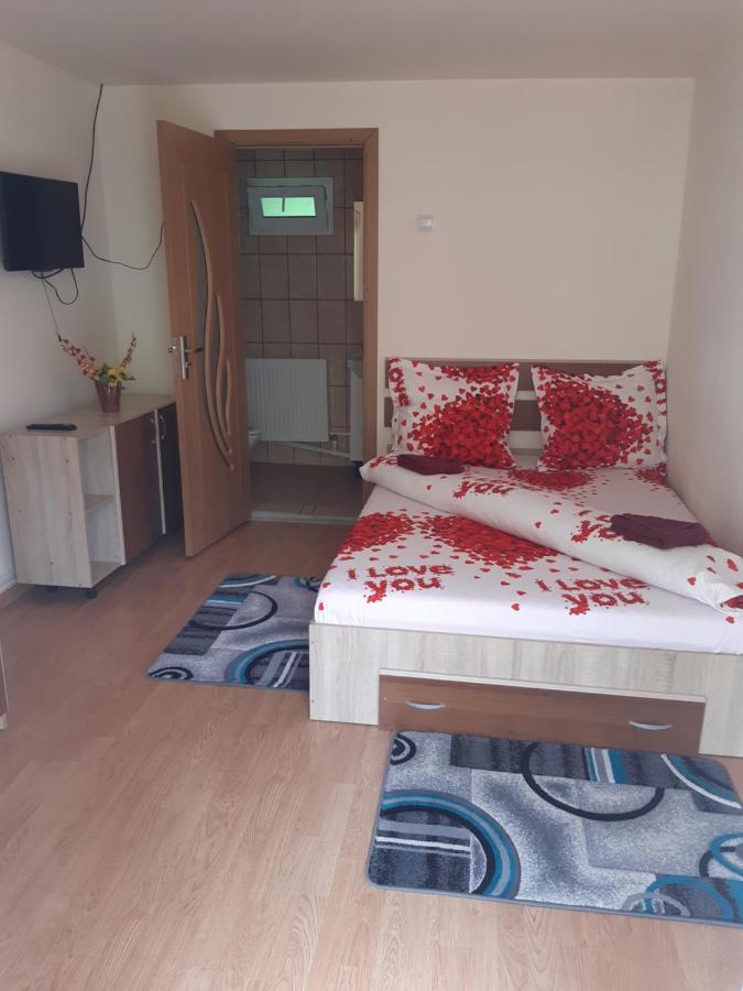 Casa Iza Διαμέρισμα Băile Herculane Εξωτερικό φωτογραφία