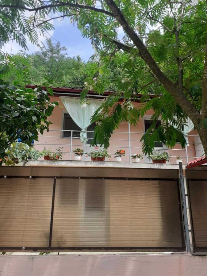 Casa Iza Διαμέρισμα Băile Herculane Εξωτερικό φωτογραφία