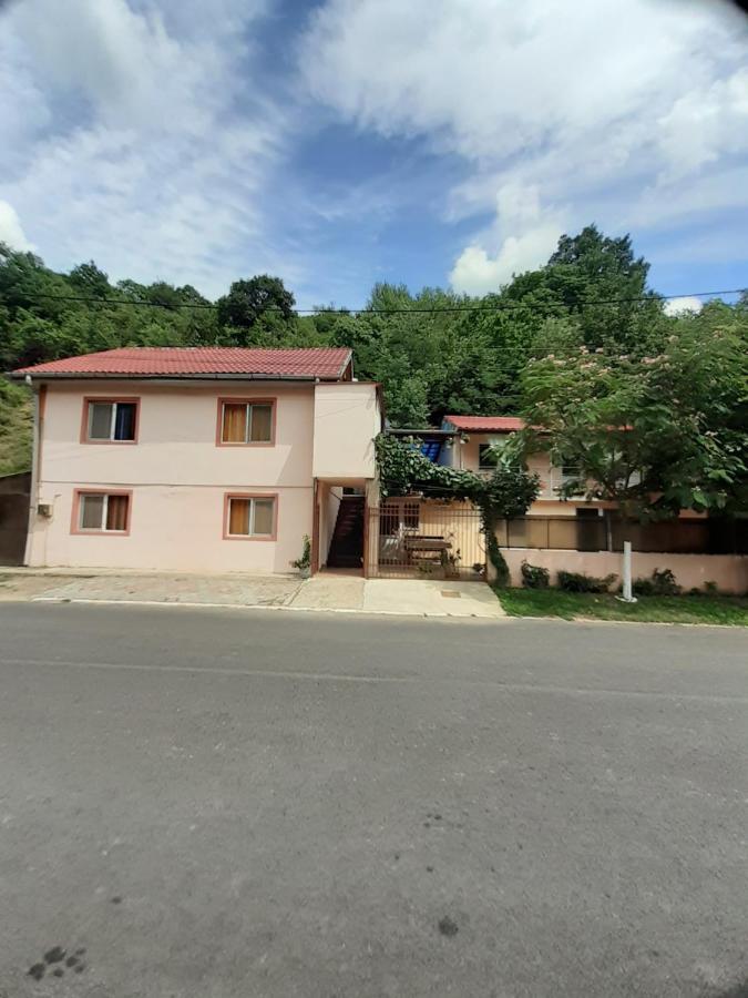 Casa Iza Διαμέρισμα Băile Herculane Εξωτερικό φωτογραφία