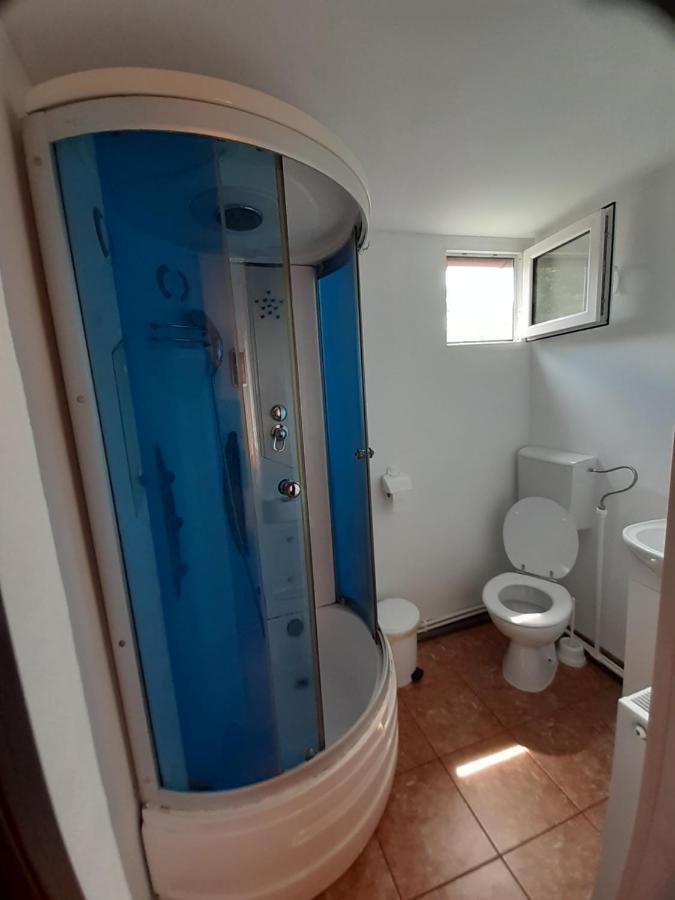 Casa Iza Διαμέρισμα Băile Herculane Εξωτερικό φωτογραφία