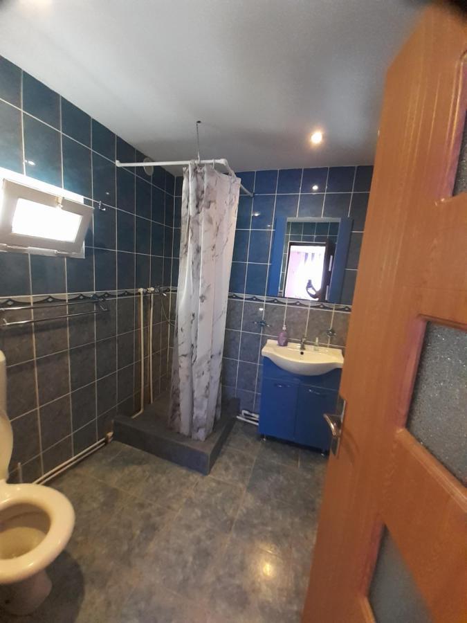 Casa Iza Διαμέρισμα Băile Herculane Εξωτερικό φωτογραφία