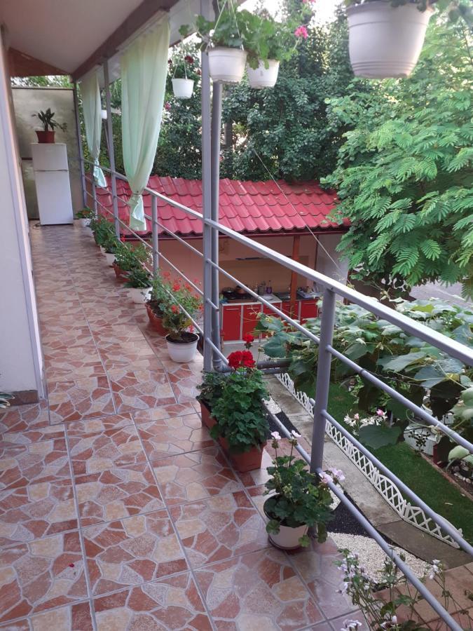 Casa Iza Διαμέρισμα Băile Herculane Εξωτερικό φωτογραφία