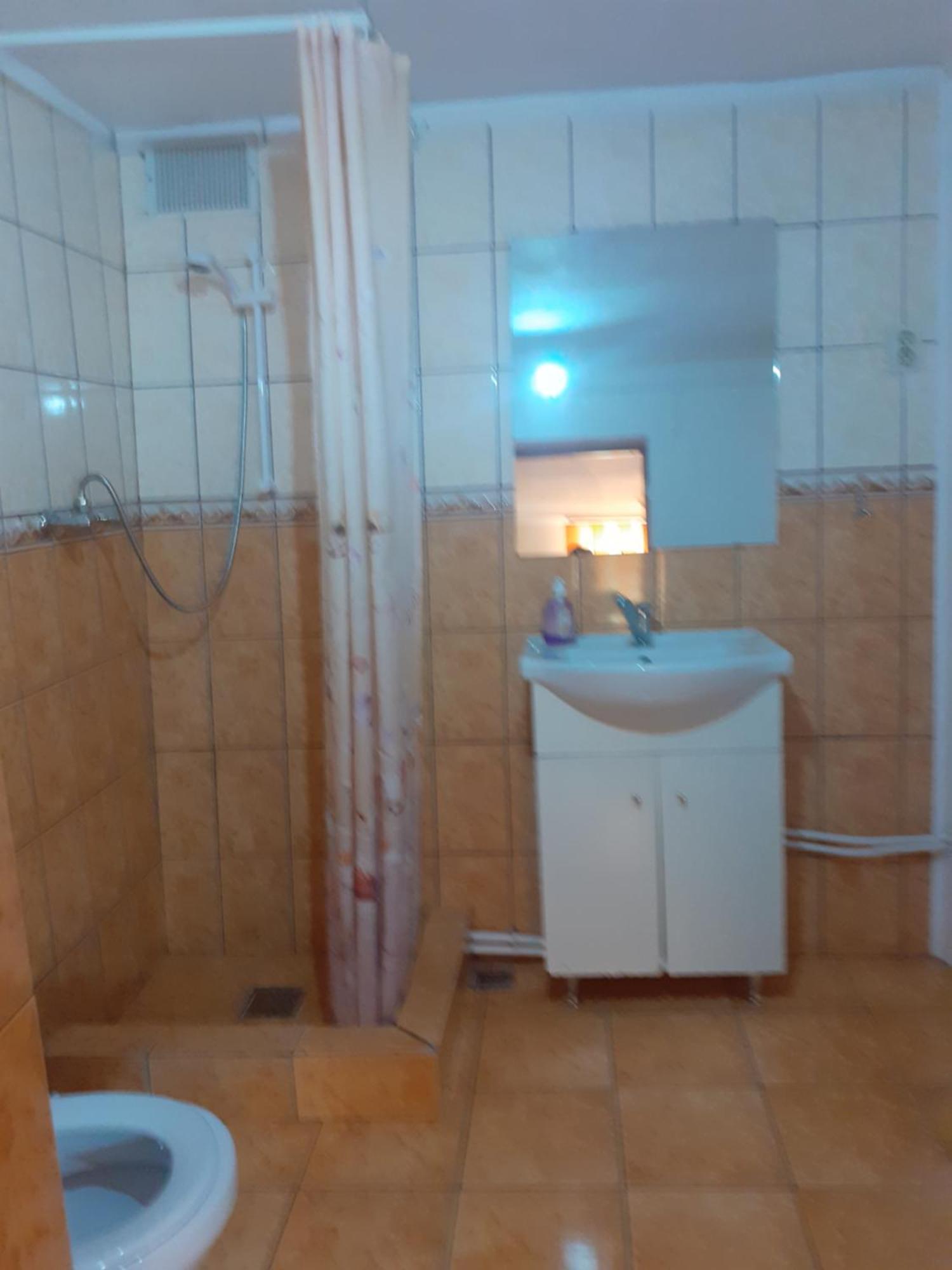 Casa Iza Διαμέρισμα Băile Herculane Εξωτερικό φωτογραφία